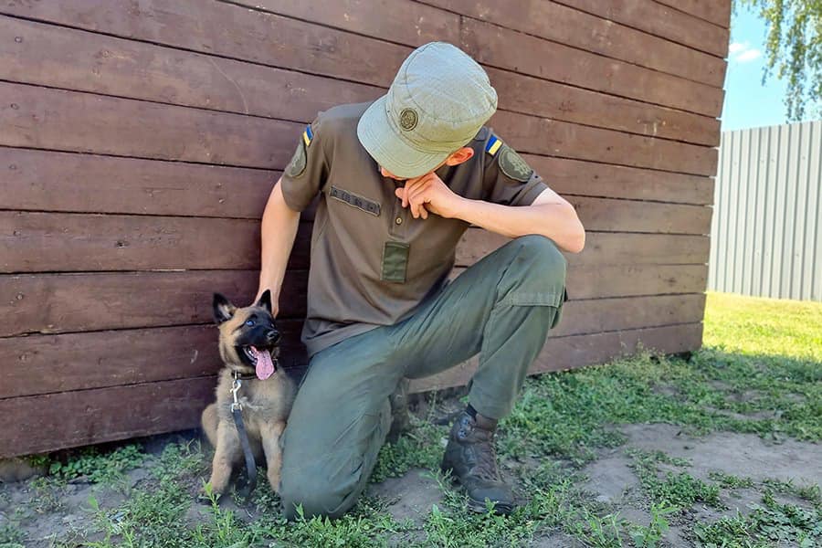 Конкурент Патрона? Очаровательная овчарка Стич - на службе в Нацгвардии (фото и видео)