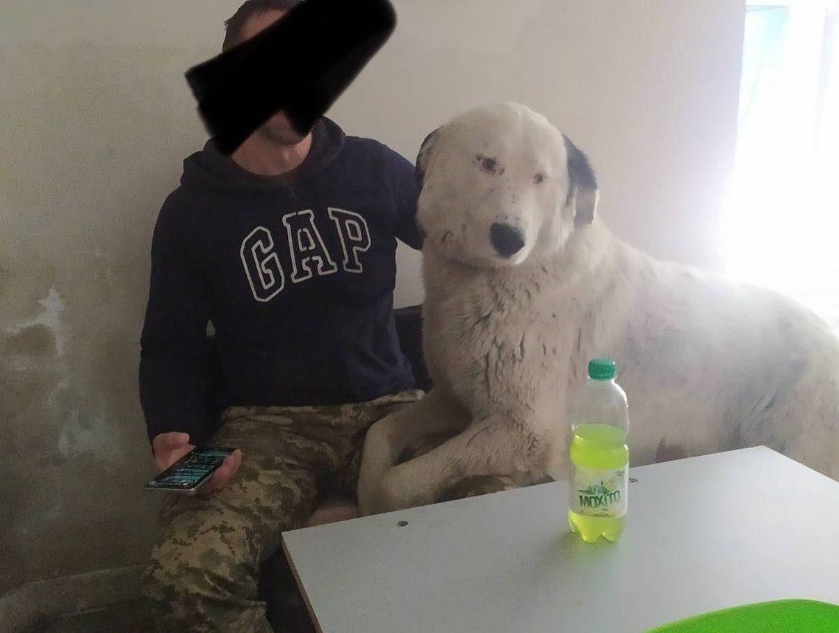 &quot;Стереже сон і проганяє щурів&quot;: з ЗСУ &quot;служить&quot; чотириногий друг Бім