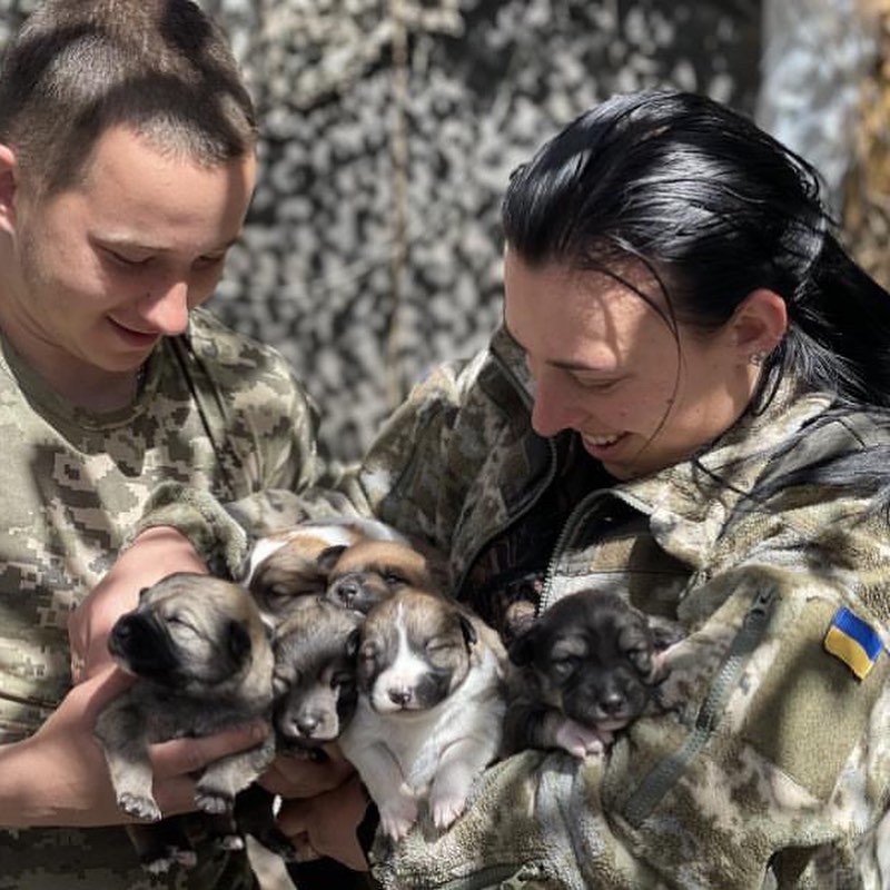 &quot;Если умирать - то всем вместе. Но своих не брошу&quot;. Как во время войны выживает приют для животных в Днепре