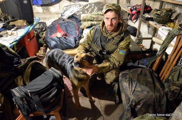В її втомлених очах згасало життя: ЗСУ врятували вівчарку, яку окупанти розмалювали фарбою