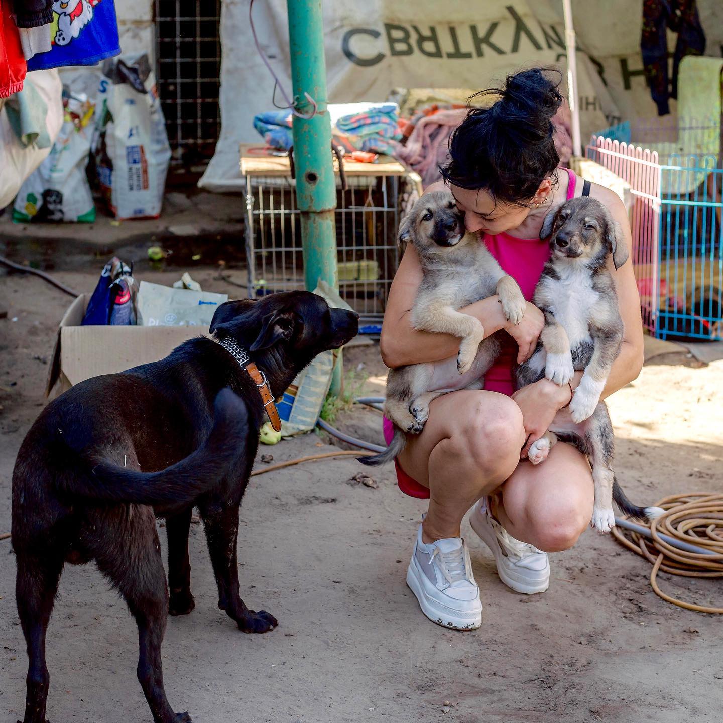 &quot;Если умирать - то всем вместе. Но своих не брошу&quot;. Как во время войны выживает приют для животных в Днепре