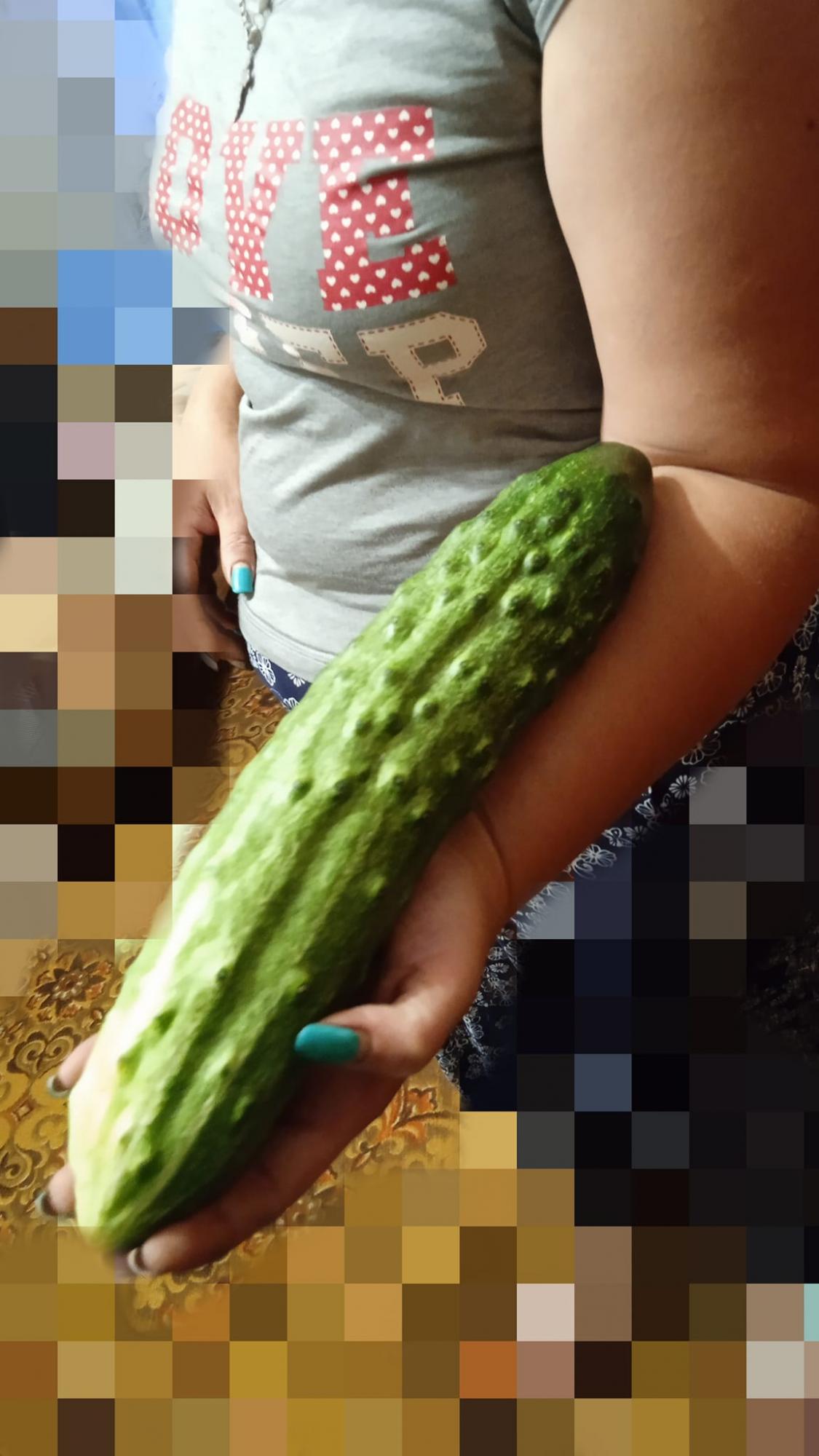 &quot;Джавеліни&quot;: на Волині жінка виростила велетенський огірок (фото)