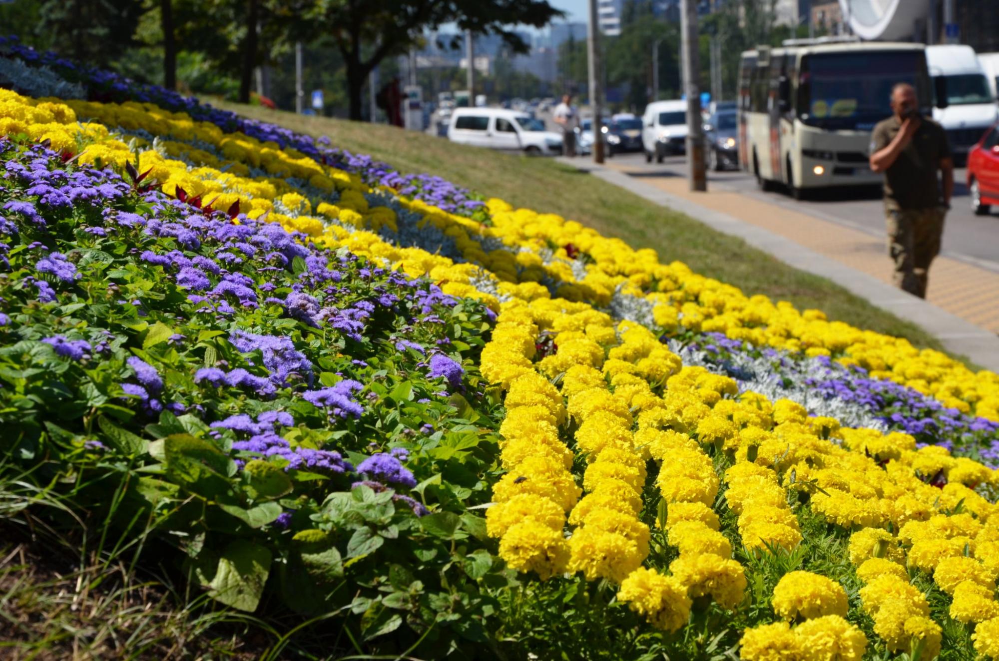 В Киеве появился цветущий живой памятник мужеству героев "азовцев": яркие фото