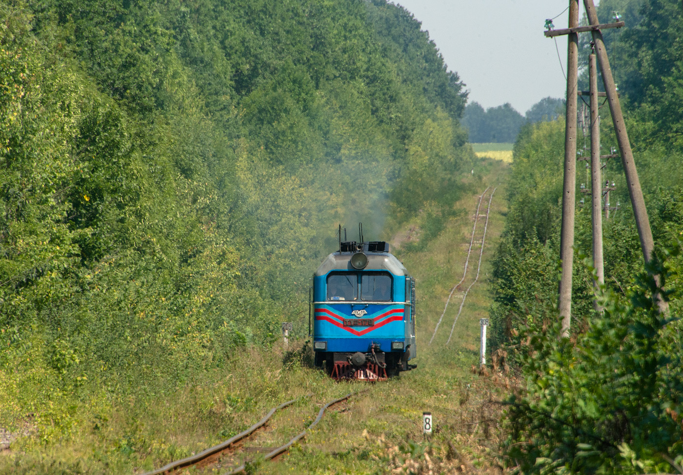 Атмосфера старины. В Украине сохранилась редкая узкоколейка: что о ней известно