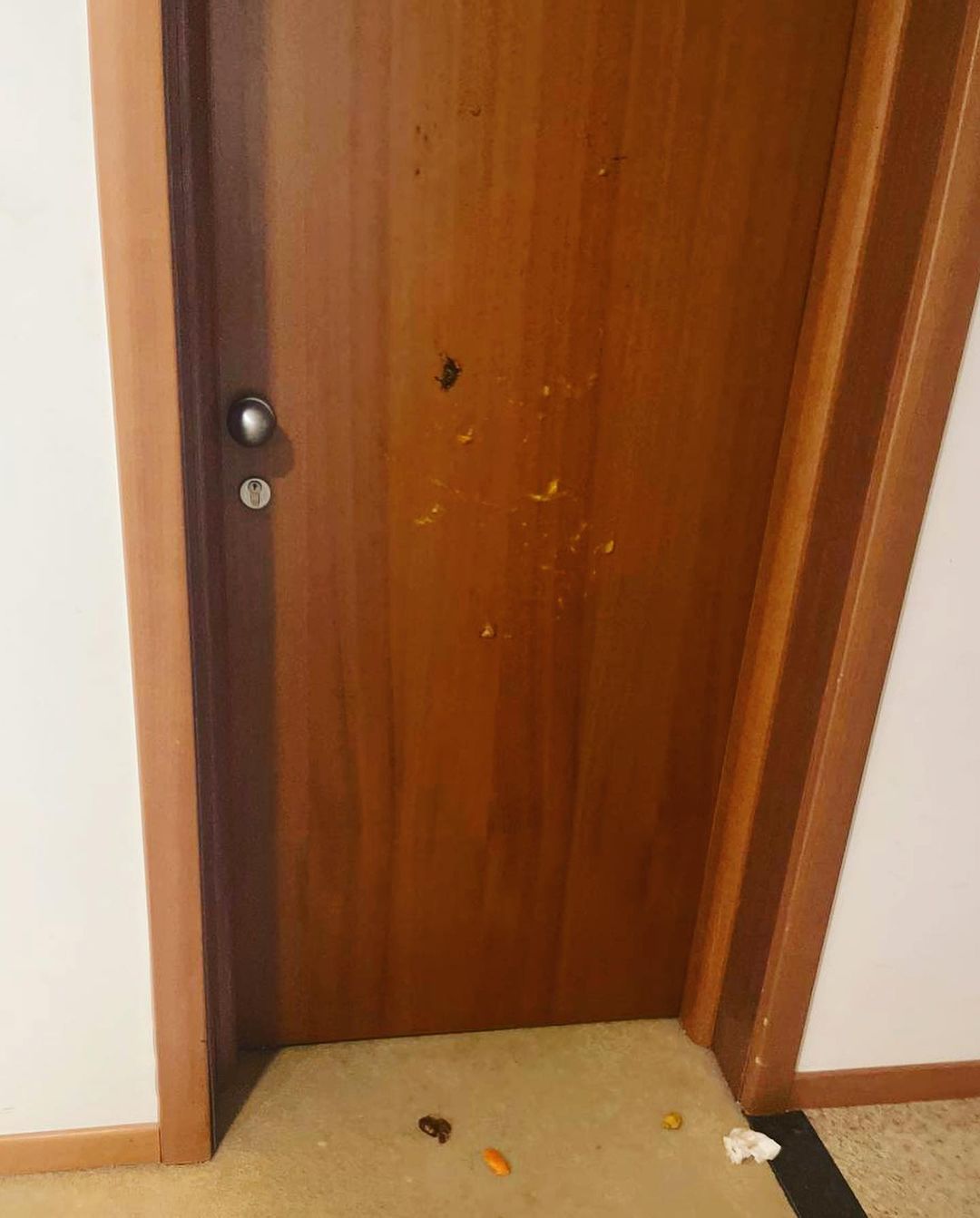 &quot;Я боялася за сина&quot;: Маша Фокіна поскаржилася на росіян у Болгарії