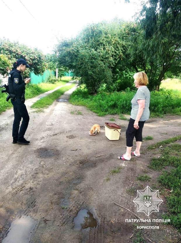 Добро переможе! Патрульні під Києвом допомогли жінці повернути додому пухнастого улюбленця