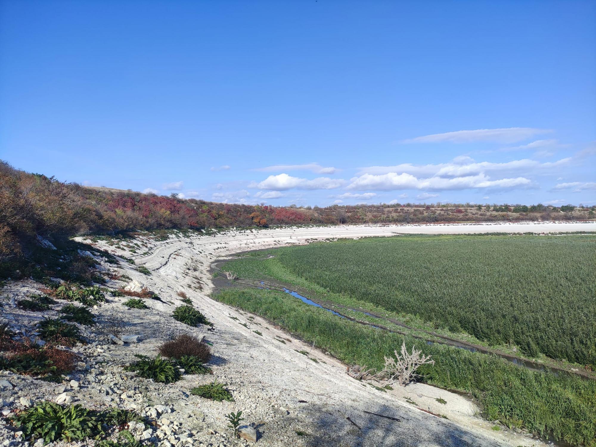 Дивіться, що зараз виросло на дні Каховського водосховища (фото, відео)