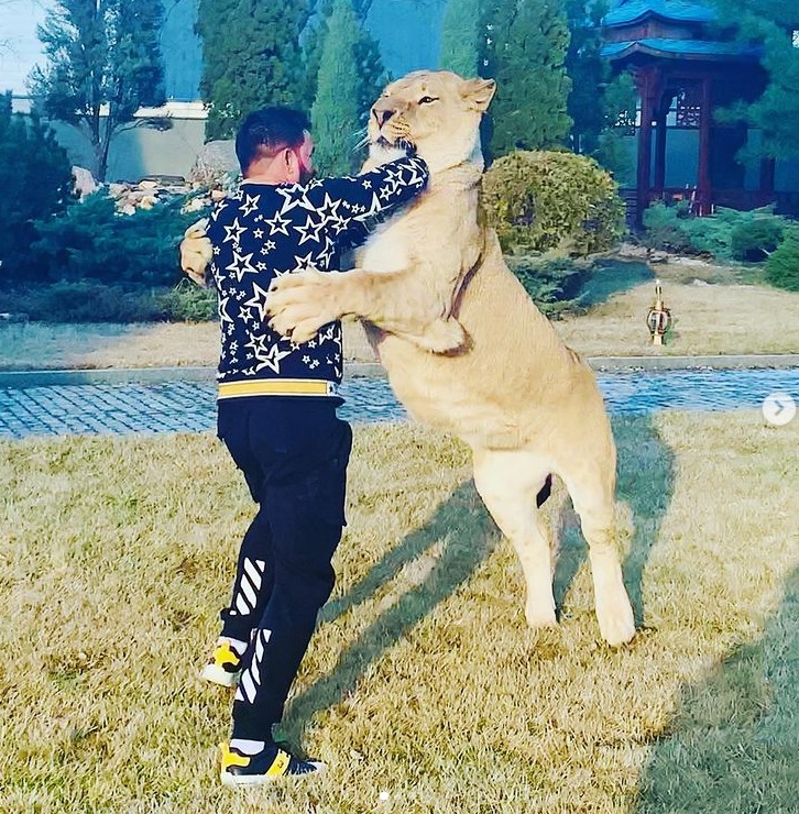 У Харкові місцевий депутат розсікає з африканським левом в автомобілі (відео)