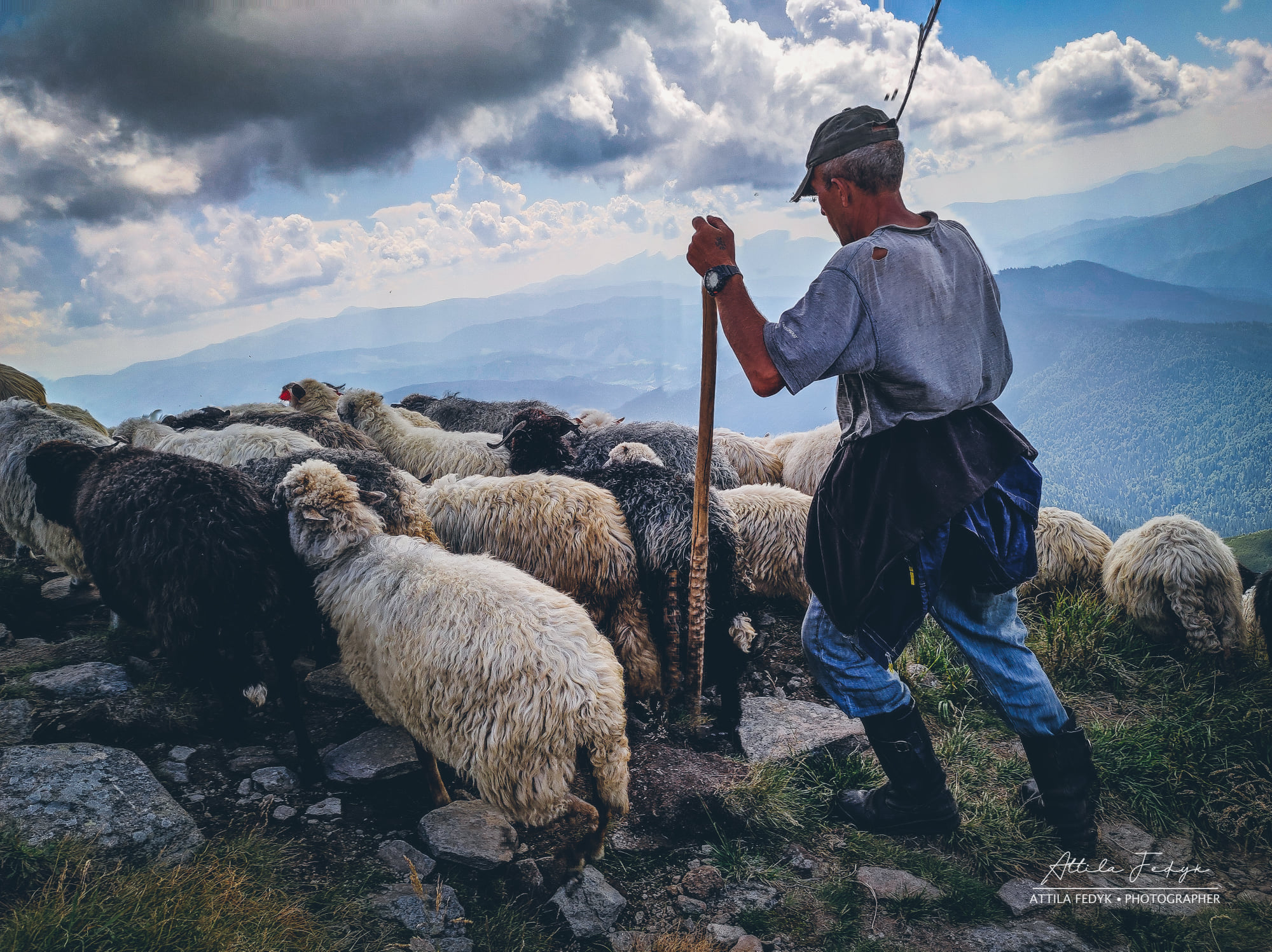 Краса Карпат: у мережі показали приголомшливе фото зі схилів Говерли