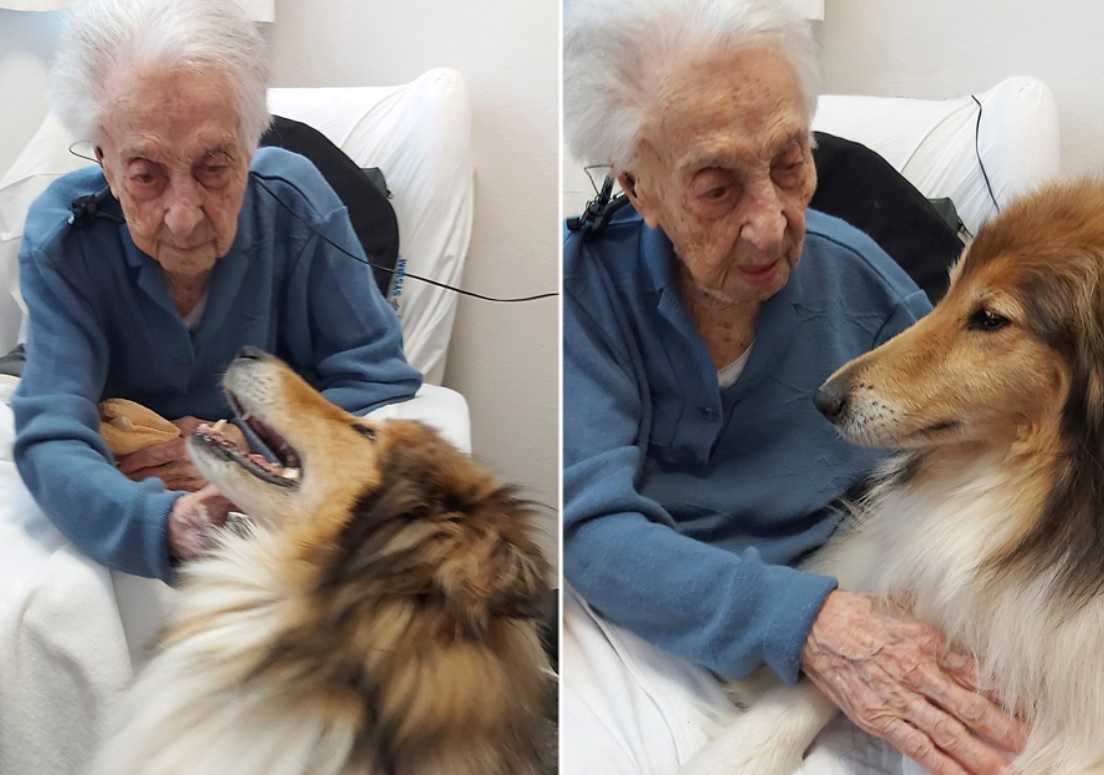 "Уві сні, мирно і без болю". Померла найстаріша людина у світі