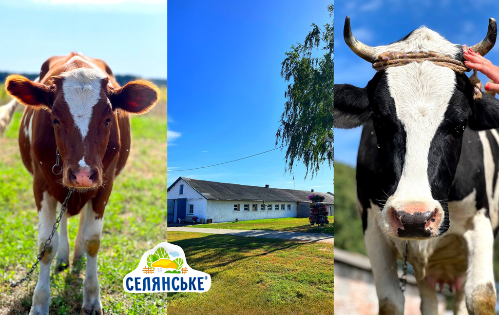 Впервые в Украине! Микрофильтрованное молоко: история от фермы к столу