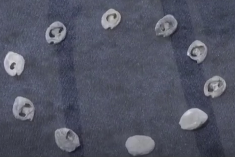 Археологи виявили найстаріші ювелірні вироби у світі (фото)