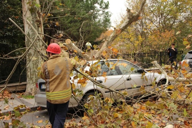 Перевертаються машини і зриваються дахи: на Стамбул обрушився потужний ураган (відео)
