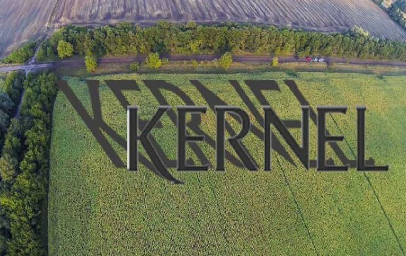 Kernel знову переміг міноритаріїв у суді: Люксембург вчергове став на бік холдингу