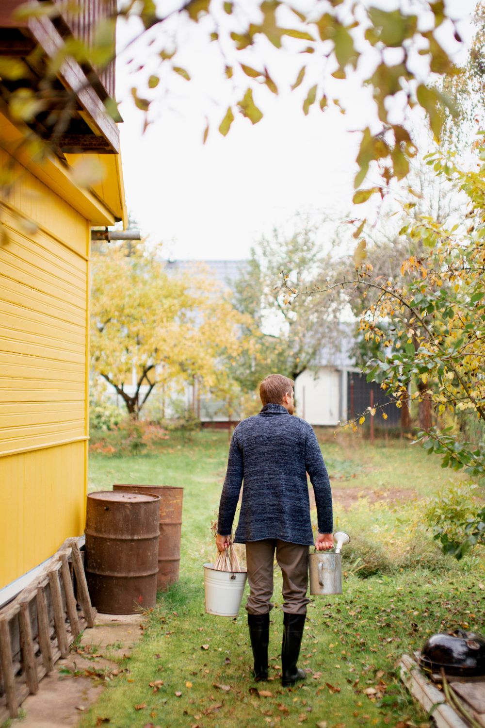 Секретный ингредиент. Какие чудеса моча сотворит с вашим огородом