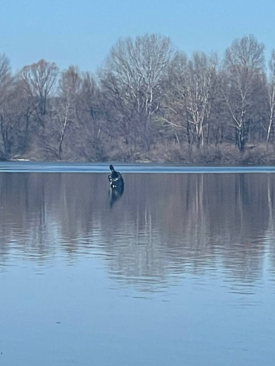 Украинская ПВО сбила вражескую ракету над Киевом