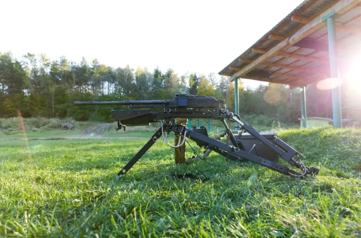 ВСУ вооружат дистанционными боевыми модулями Wolly: что это за оружие