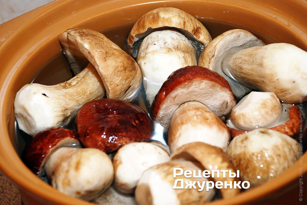 Можно есть грибы при похудении. Вареные белые грибы. Отваренные белые грибы. Грибы белые отварные. Porcini гриб.
