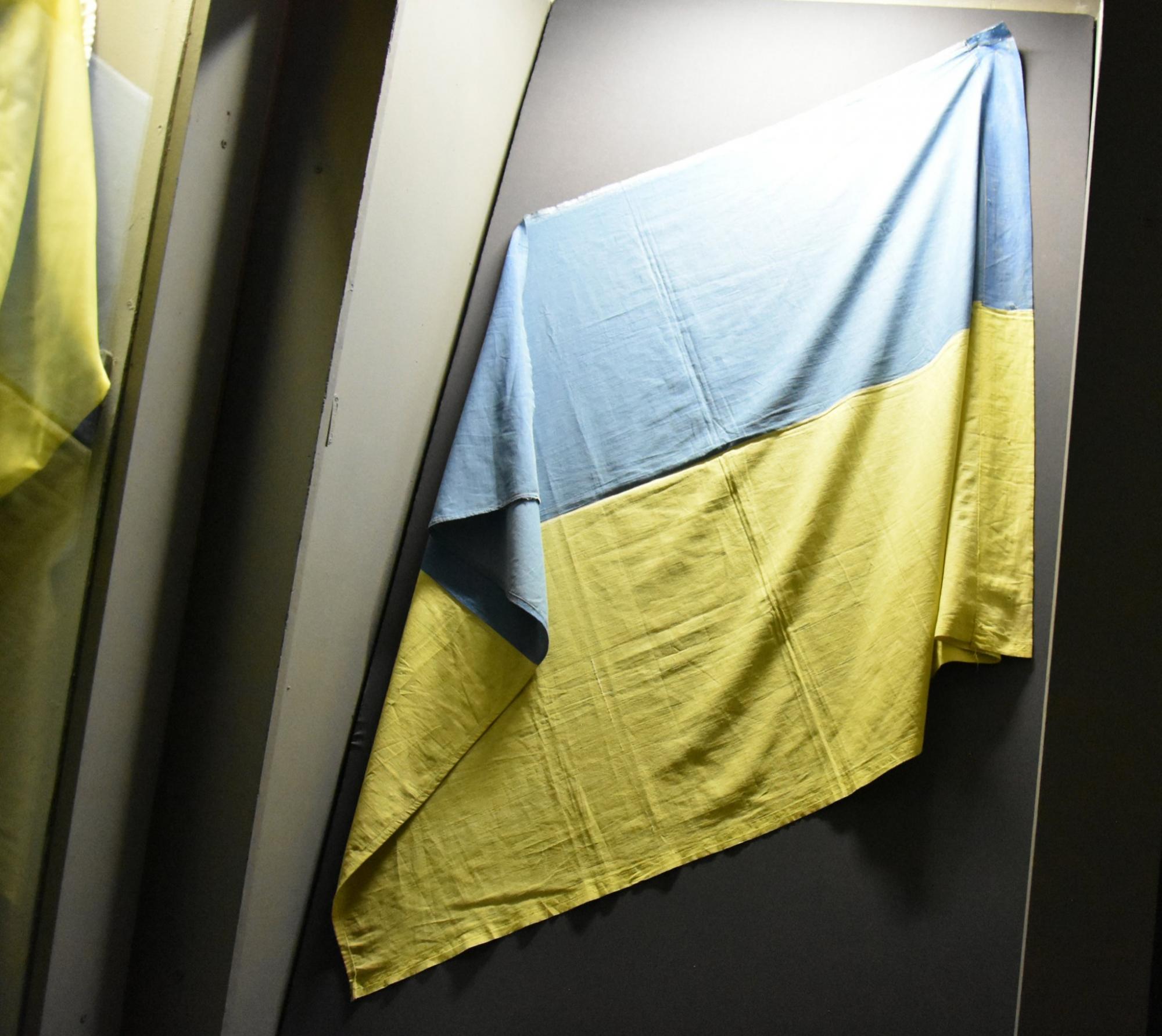 Флаги Независимости: как выглядят уникальные украинские стяги (фото)