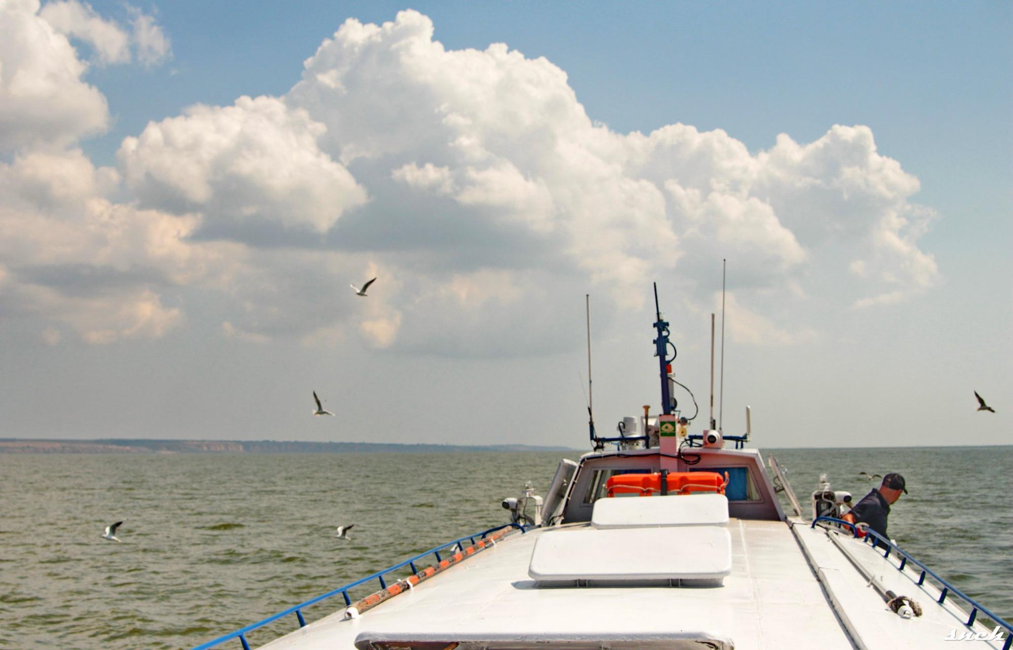 На крыльях по Днестру. Между городами в Одесской области запустили легендарный теплоход