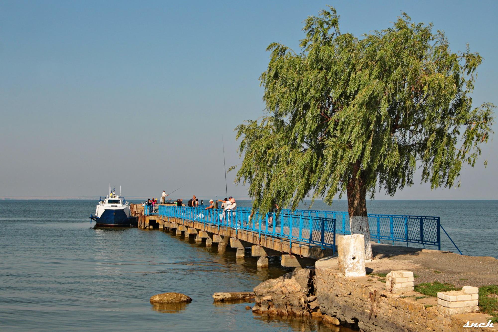 На крыльях по Днестру. Между городами в Одесской области запустили легендарный теплоход
