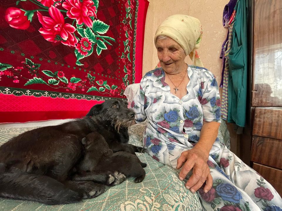 Серце щемить, а душа радується. Як живе зараз Юхимівна, яка ховала собачку Боню в зелену хусточку від обстрілів