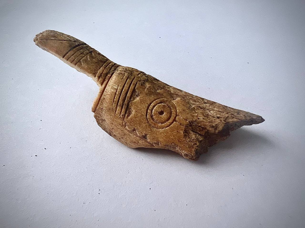 Під Полтавою знайшли скіфські артефакти та житло доби бронзи, якому 3300 років (фото)