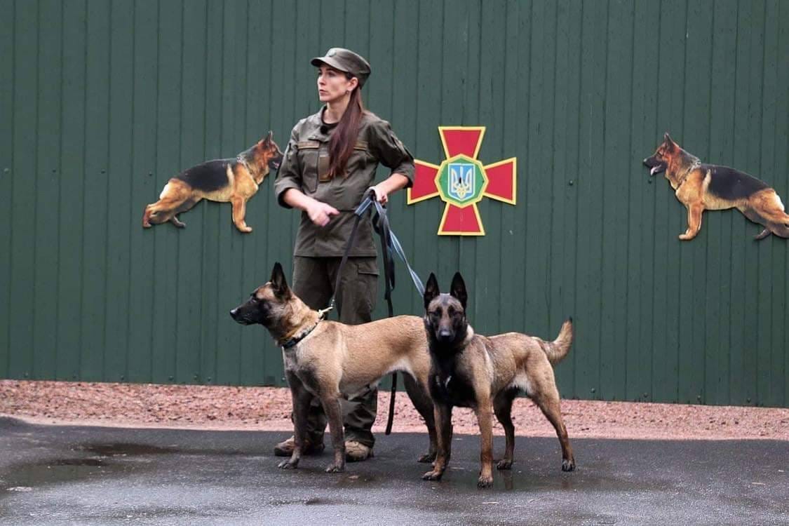 Служебный пес Нацгвардии выиграл чемпионат мира по дрессировке: фото красавицы