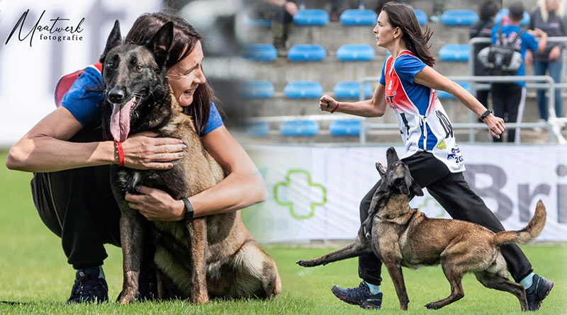 Собака Блика из Нацгвардии стала чемпионкой мира: невероятные фото и история героини