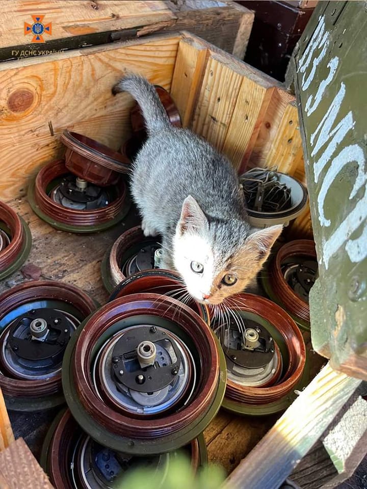 Рятувальники ДСНС показали нову пухнасту &quot;співробітницю&quot; (фото)