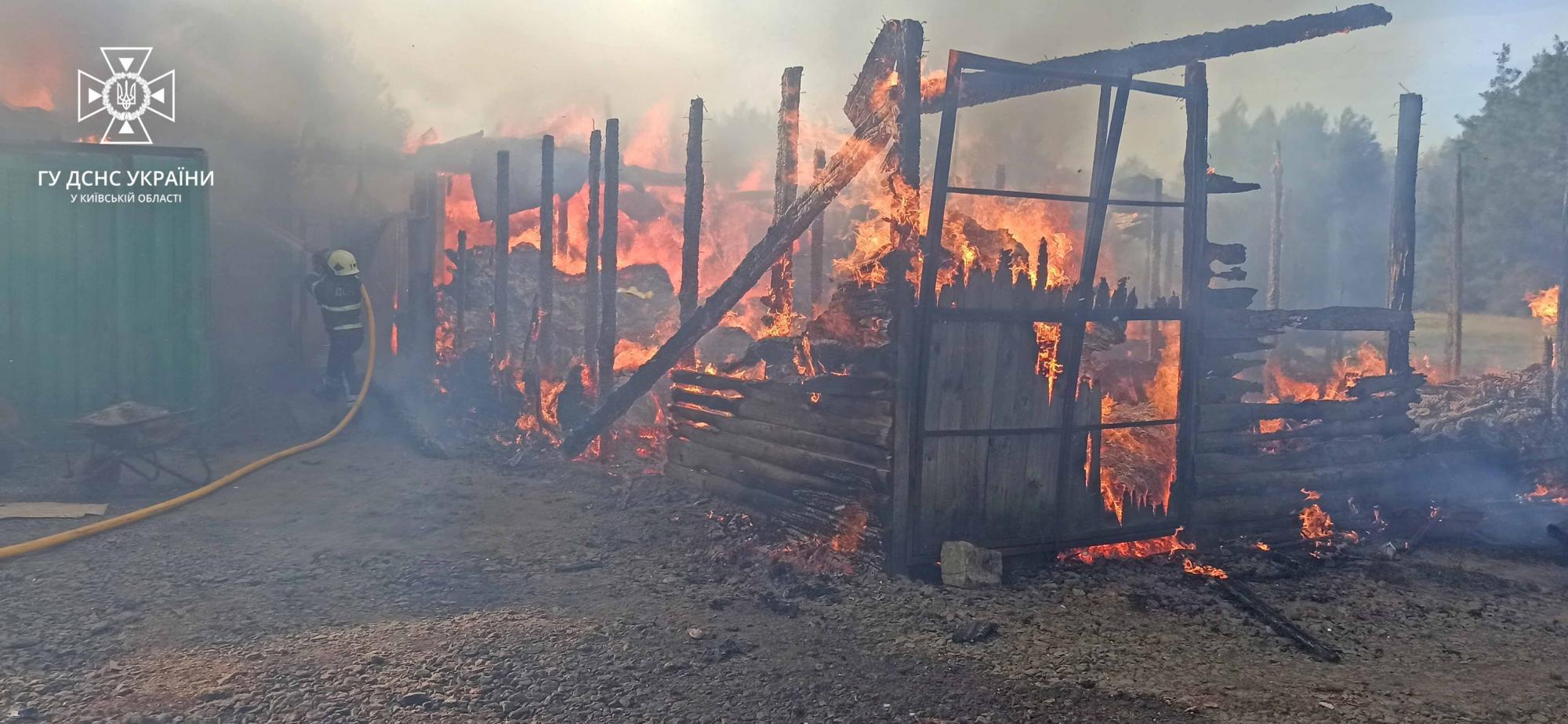 Под Ирпенем сгорело 450 квадратов, потому что владелец не разрешил спасателям набрать воды: сказал, что нельзя