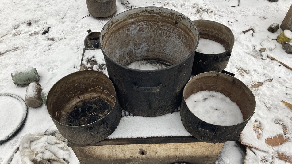 Кожну тварину кличе на ім'я: українка рятувала з-під обстрілів РФ майже 200 собак та котів