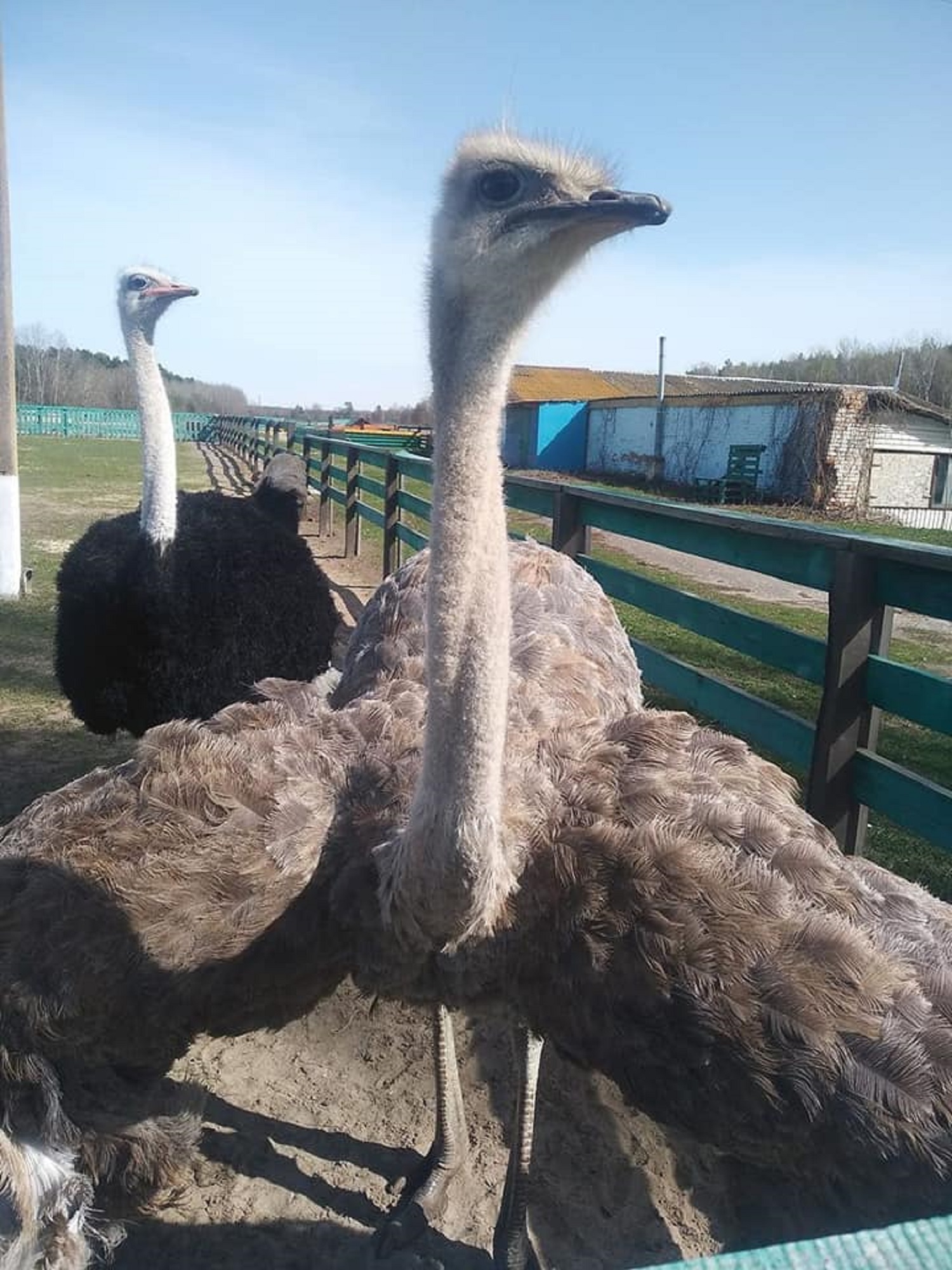 5 мест возле Киева, куда можно отправиться в День Независимости Украины с семьей