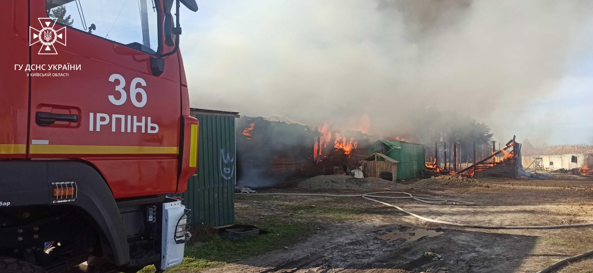 Под Ирпенем сгорело 450 квадратов, потому что владелец не разрешил спасателям набрать воды: сказал, что нельзя