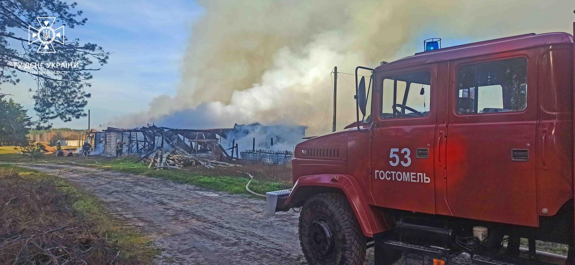 Под Ирпенем сгорело 450 квадратов, потому что владелец не разрешил спасателям набрать воды: сказал, что нельзя