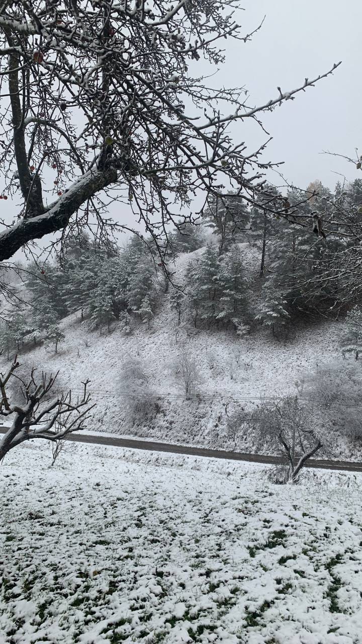 Україну окутало снігом, подекуди  висипало 10 см: красиві фото і відео