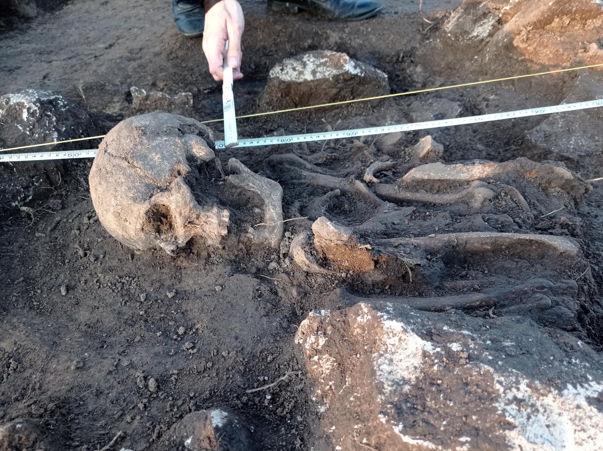 Под Тернополем женщина на огороде нашла древнее захоронение, которому больше 2,5 тысяч лет (фото)