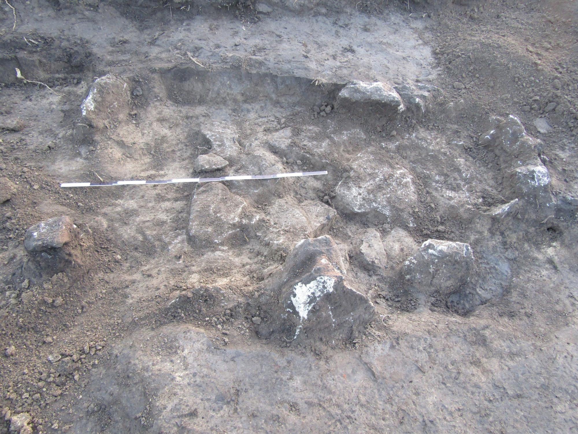 Под Тернополем женщина на огороде нашла древнее захоронение, которому больше 2,5 тысяч лет (фото)