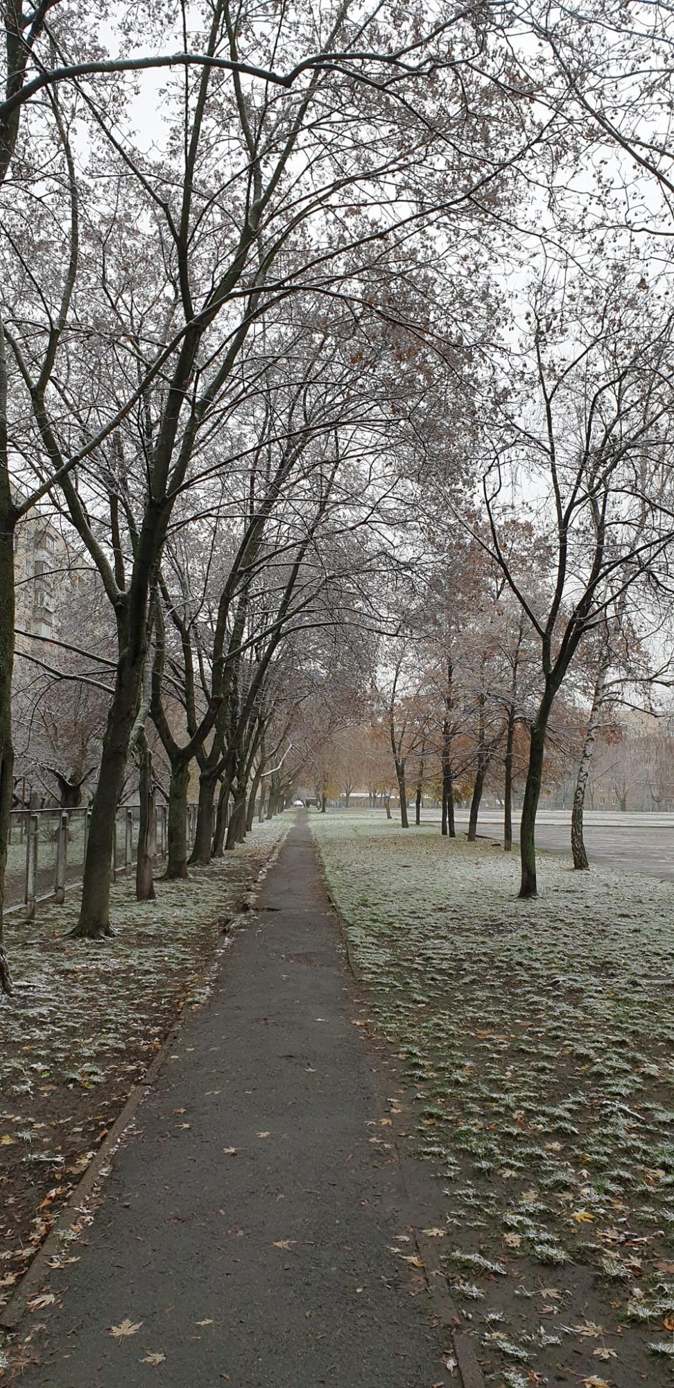Україну окутало снігом, подекуди  висипало 10 см: красиві фото і відео