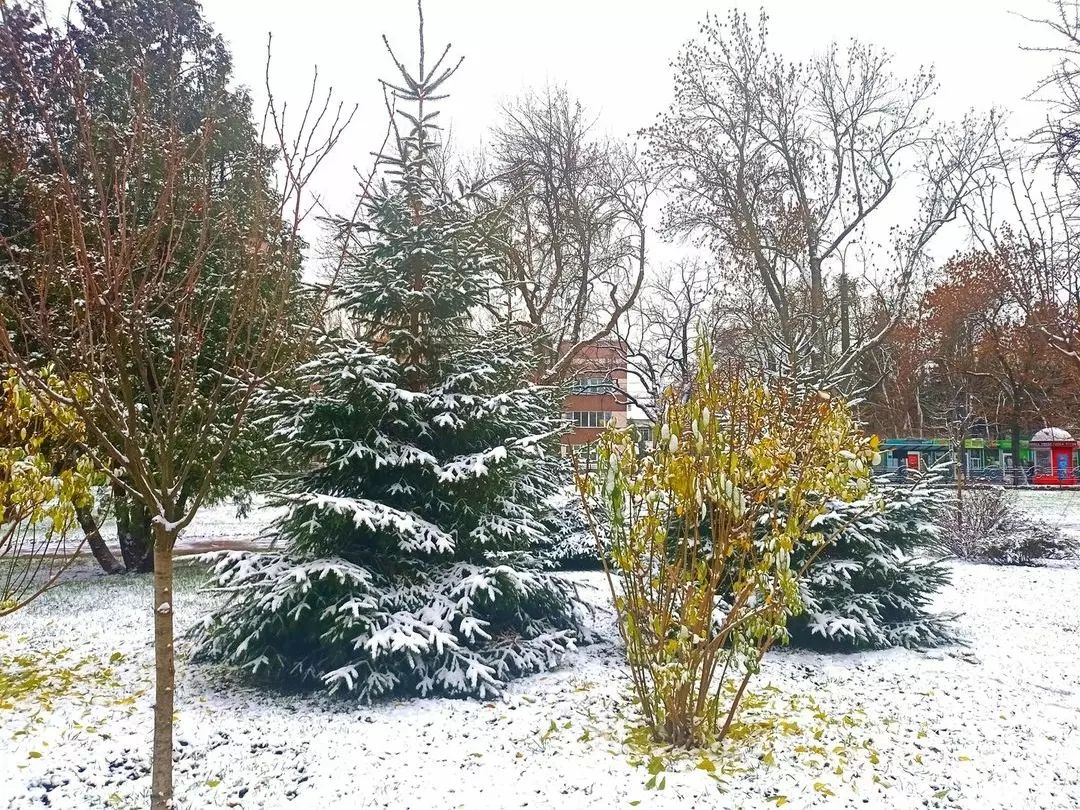 Україну окутало снігом, подекуди  висипало 10 см: красиві фото і відео