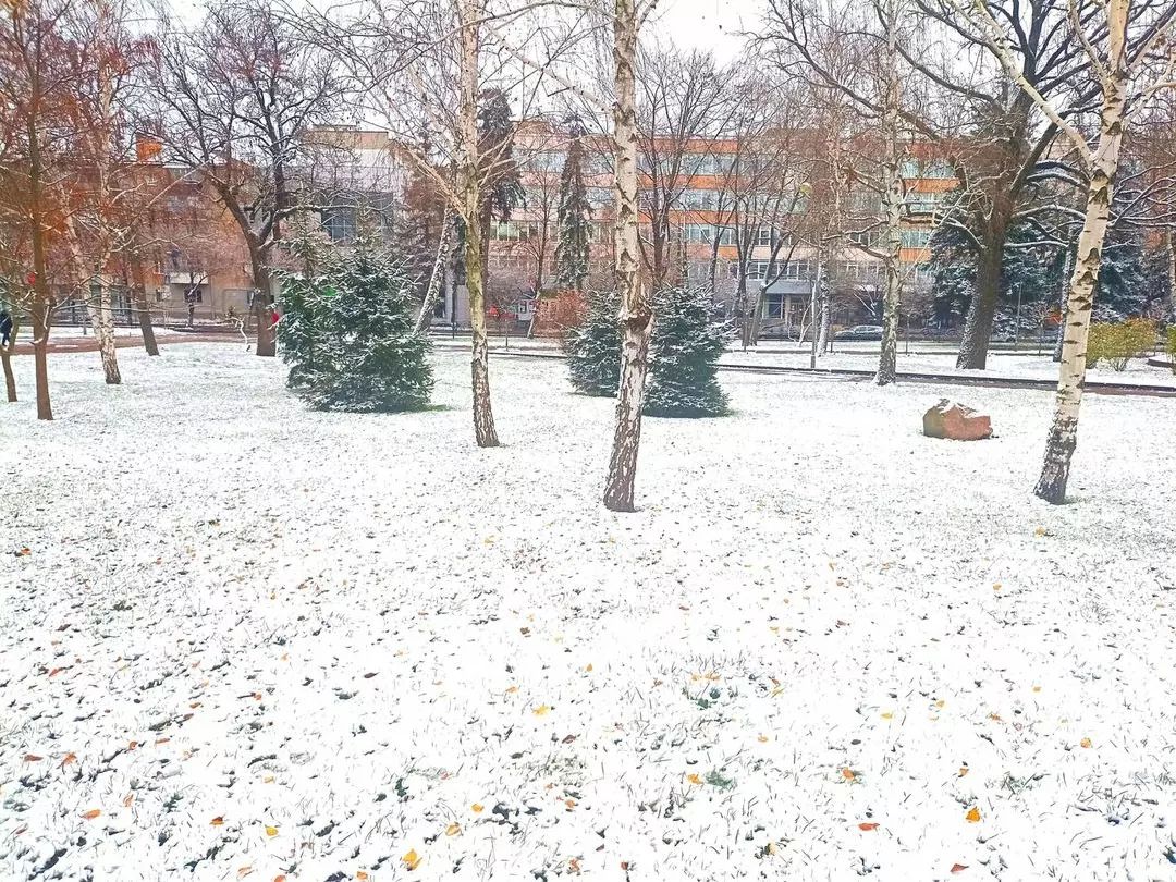 Україну окутало снігом, подекуди  висипало 10 см: красиві фото і відео