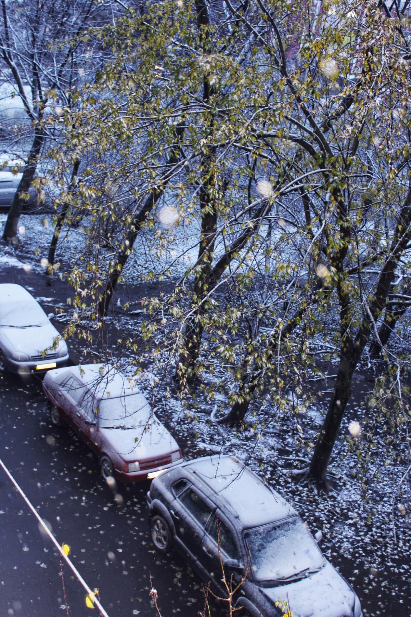 Україну окутало снігом, подекуди  висипало 10 см: красиві фото і відео