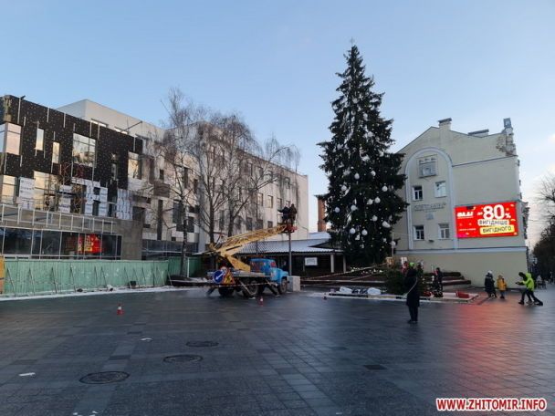В Житомире люди растрощили елку за 3 дня: что осталось от лесной красавицы