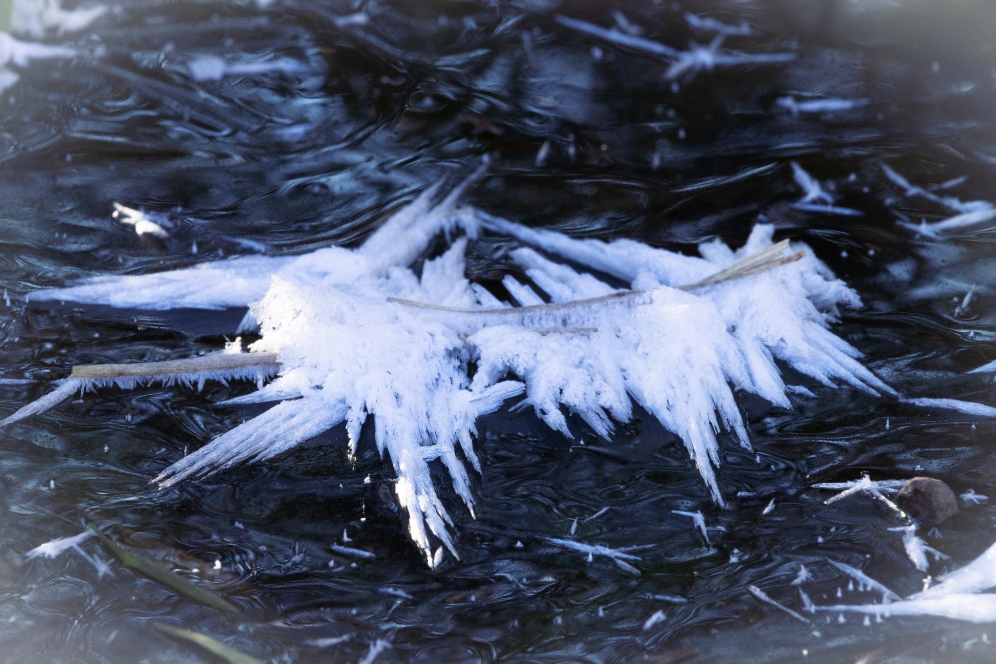 Харьковчане увидели одно из самых прекрасных явлений зимы в Украине (фото)