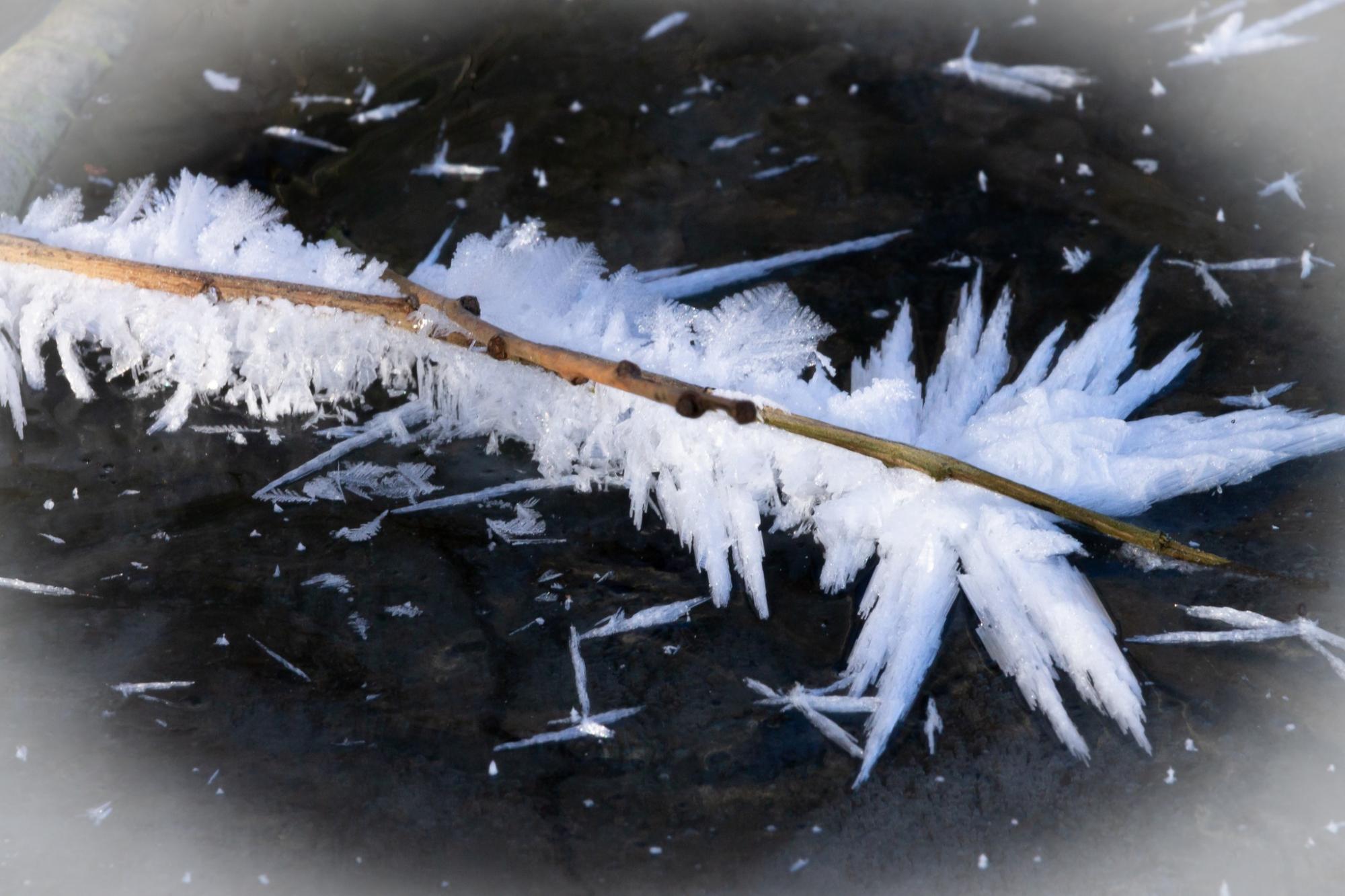 Харьковчане увидели одно из самых прекрасных явлений зимы в Украине (фото)