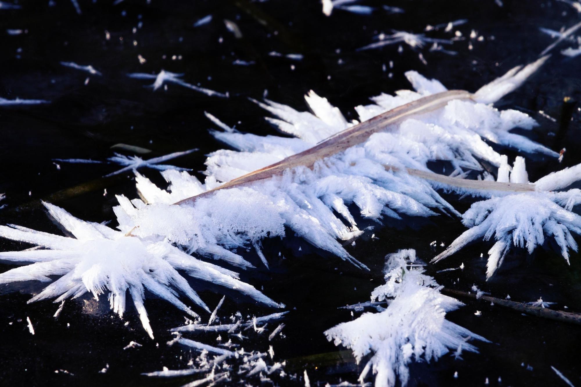 Харьковчане увидели одно из самых прекрасных явлений зимы в Украине (фото)