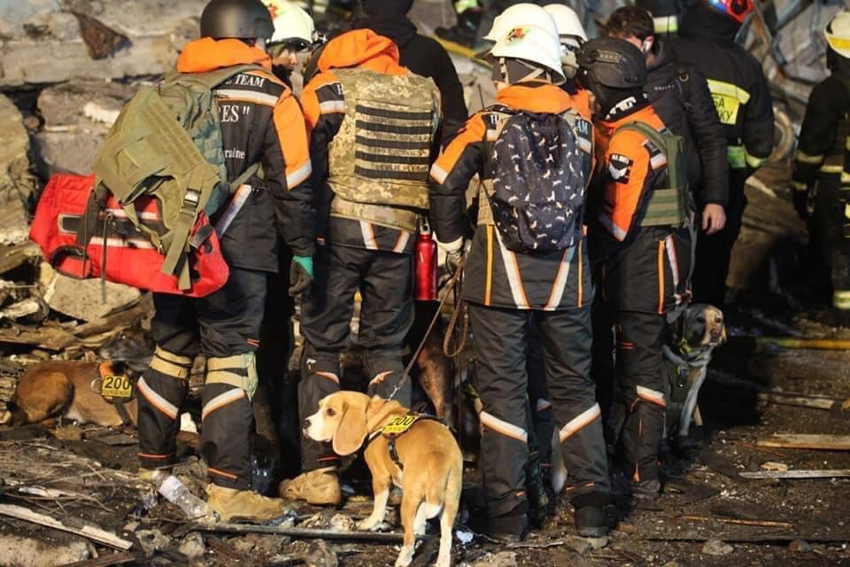 Розуміють весь жах: у Дніпрі собаки допомагають шукати людей під завалами (фото)