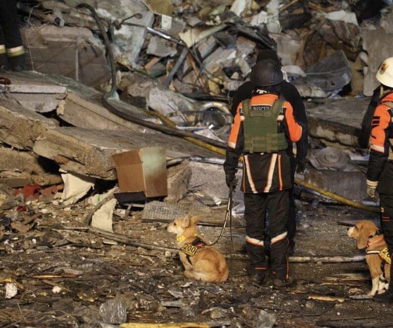 Розуміють весь жах: у Дніпрі собаки допомагають шукати людей під завалами (фото)