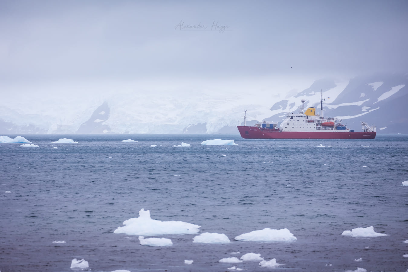 Украинский ледокол прибыл к станции Вернадского: полярники показали потрясающие фото