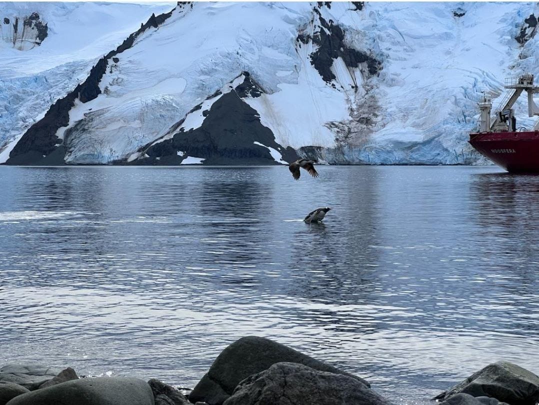 Украинский ледокол прибыл к станции Вернадского: полярники показали потрясающие фото